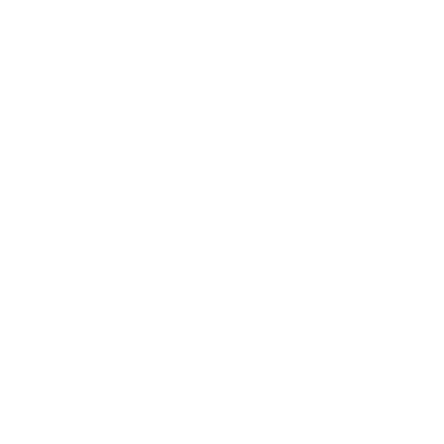 logo Your Flavourist